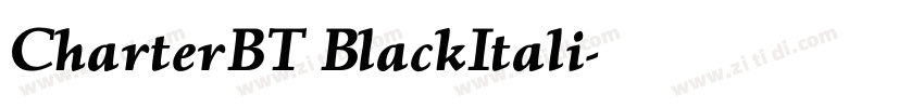CharterBT BlackItali字体转换